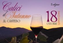 calici d'autunno Macchiagodena