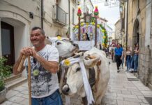 Larino (CB) - La Carrese