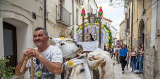 Larino (CB) - La Carrese