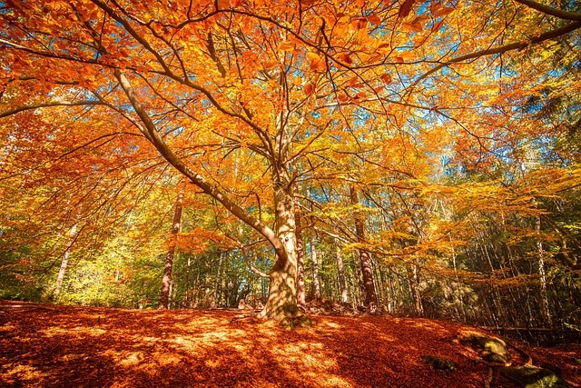 autunno