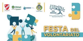 festa del volontariato 2025