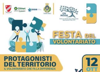 festa del volontariato 2025