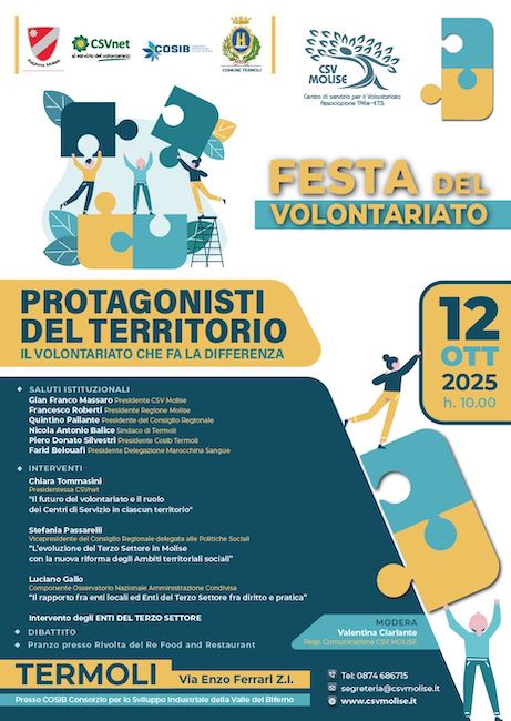 festa del volontariato 2025