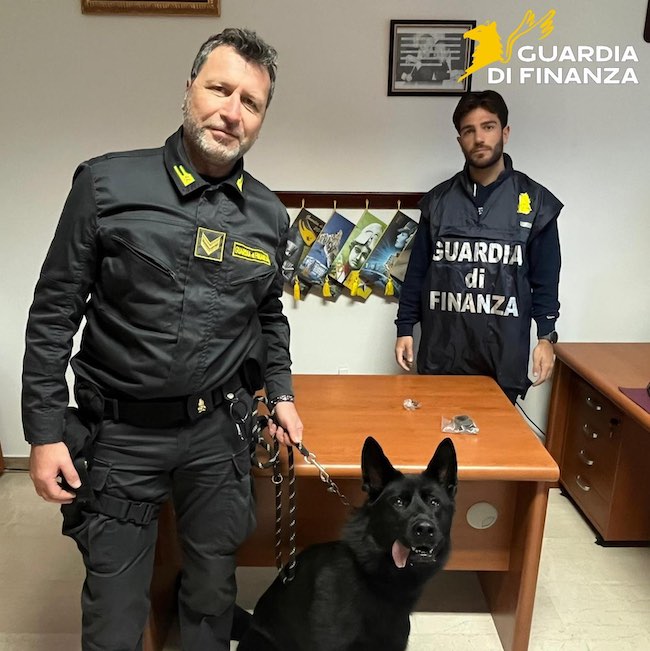 guardia di finanza termoli cane
