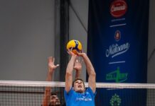 melato si arrampica a rete