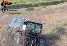 Guglionesi, Carabinieri recuperano 2 trattori rubati da 200mila euro trattori rubati recuperati