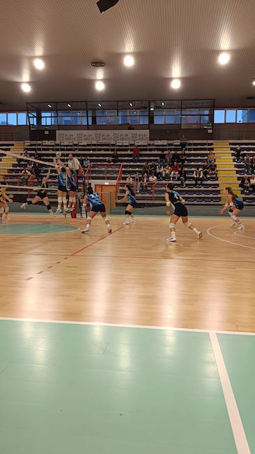 antoniana vs delfina