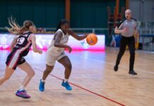 carrarini in entrata