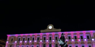 comune campobasso notte viola