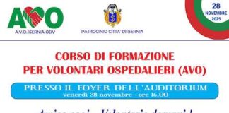 corso formazione avo 28 novembre 2025