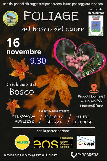 foliage nel bosco del cuore