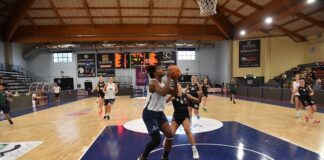 Magnolia Campobasso-Roseto, derby di Serie A1 femminile gray sotto canestro
