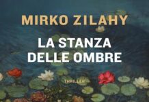 la stanza delle ombre libro