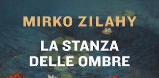 la stanza delle ombre libro