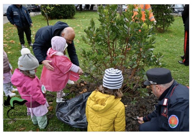 nuove piantumazioni campobasso