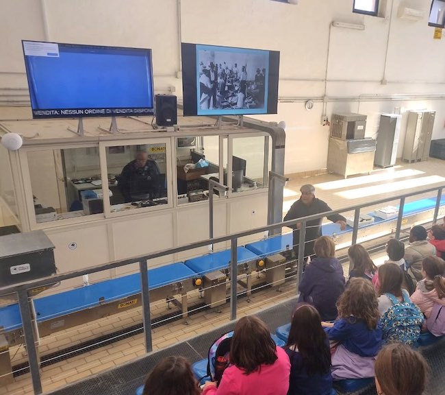 scolaresche mercato ittico termoli