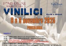 vinilici 2025