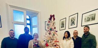 albero solidale campobasso