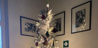 albero solidale natale