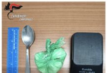 cocaina sequestrata bojano