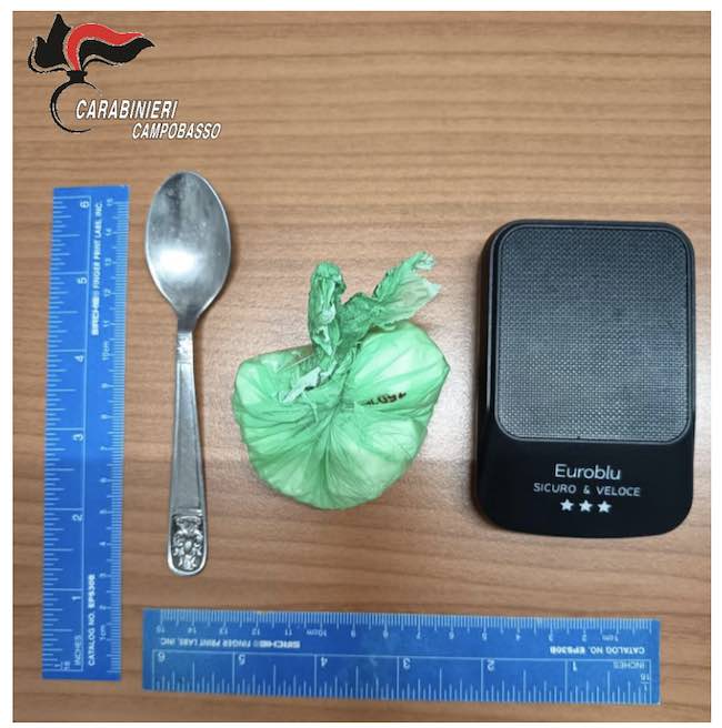 cocaina sequestrata bojano