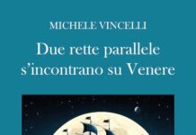 Michele Vincelli, il nuovo romanzo “Due rette parallele” due rette parallele libro