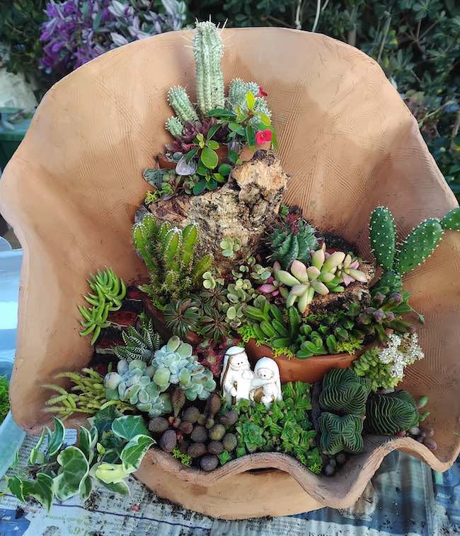 presepe vegetale con natività