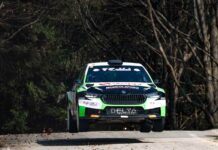 RALLY DELLA MARCA 20252 TESTA-BIZZOCCHI