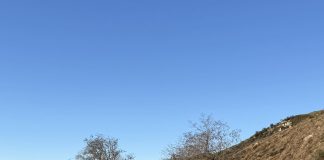 Saia: “Sulla provinciale tra Guado Liscia e Capracotta c’è bisogno di un intervento strutturale”