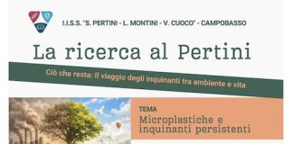 la ricerca al pertini