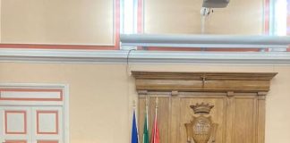 luzzi, marcheggiani e picciano