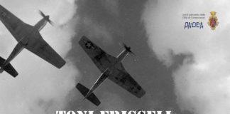 mostra toni frissell