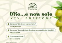 olio e non solo 31 gennaio 2026