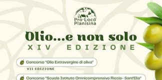 olio e non solo 31 gennaio 2026