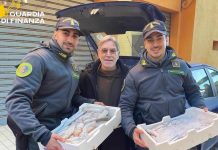 pesce sequestrato termoli
