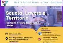 scuola lavoro territorio