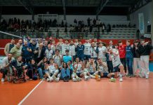 spike post terni