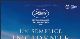 un semplice incidente