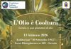 L'olio é cooltura