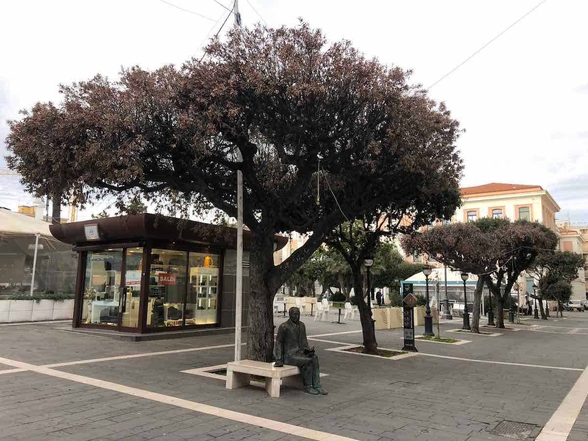 abbattimento lecci malati termoli