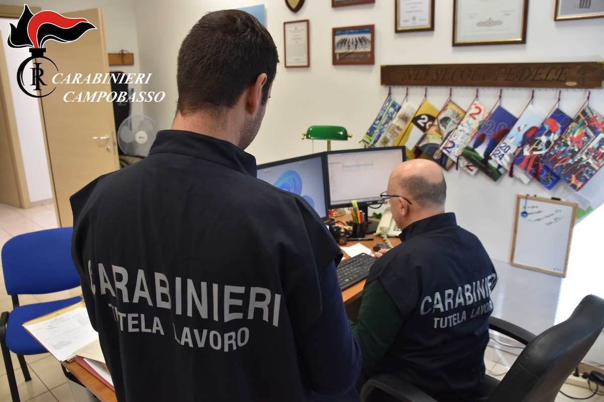carabinieri campobasso ufficio