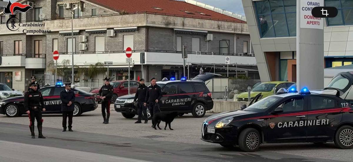 controlli carabinieri campobasso