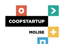 Coopstartup Molise, prorogato al 28 febbraio 2025 il bando coopstartup molise logo