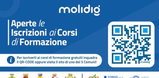 corsi formazione molidig