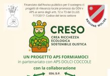 creso 7 febbraio 2026