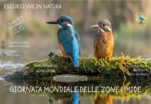 Campomarino celebra la Giornata delle Zone Umide 2026 escursione in natura 7 febbraio 2026