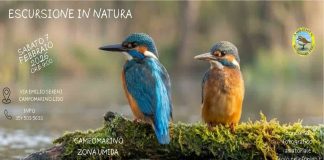 escursione in natura 7 febbraio 2026