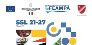Termoli, il GAL Mare Molise Costiero presenta la nuova Strategia FEAMPA 2021‑2027 gal mare molise 2 marzo 2026