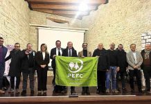 gruppo pefc
