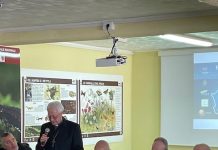 Turismo inclusivo, Molise e Abruzzo uniti: “Accoglienza, accessibilità e dignità del lavoro” incontro turismo inclusivo